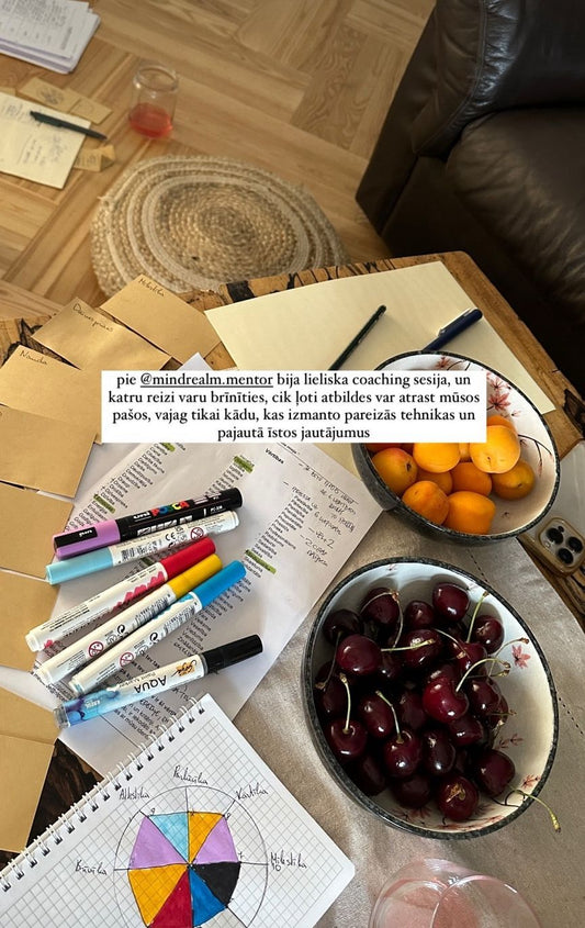 Ikmēneša mentorings