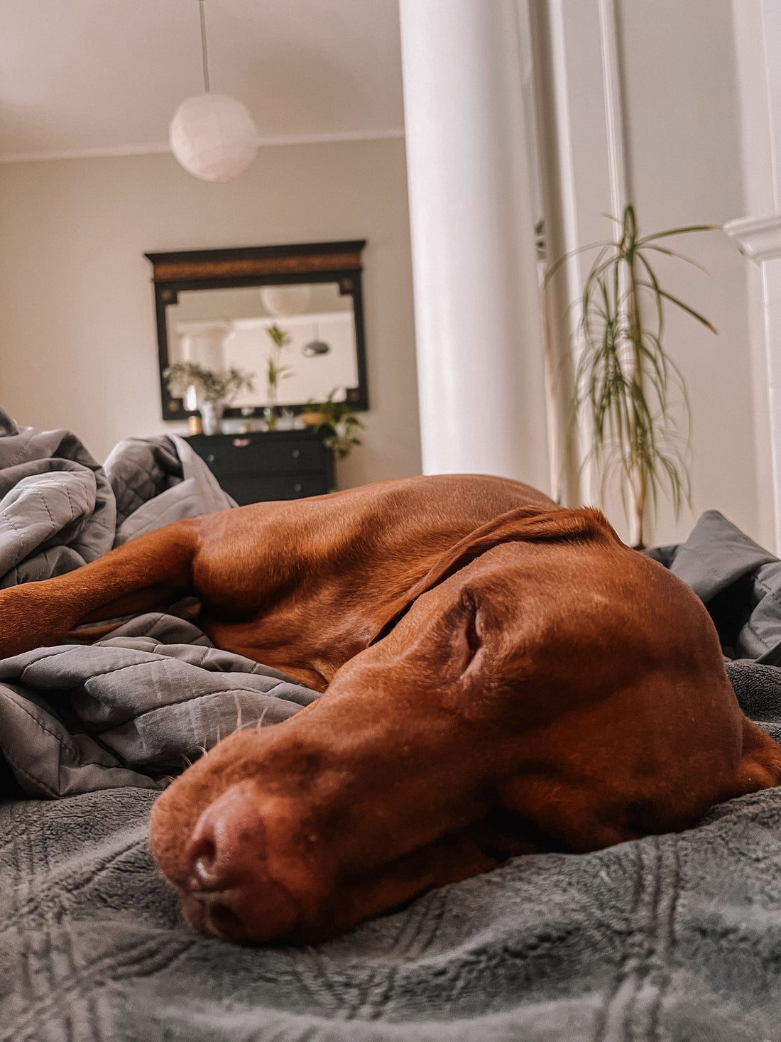 Personīgā miega faktoru noteikšana