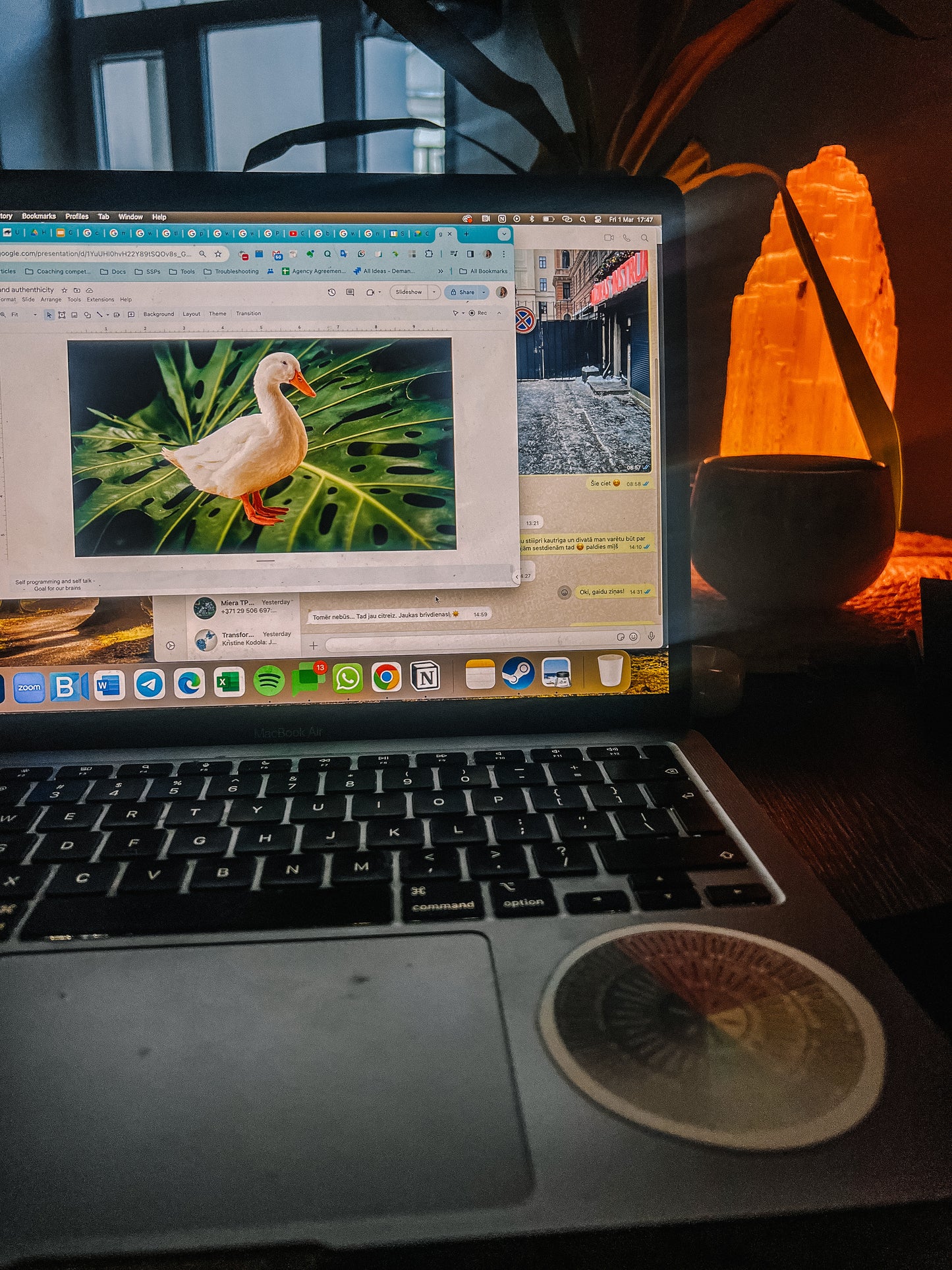 Ikmēneša mentorings